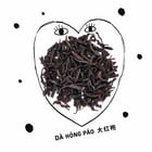Comme des Garçons tea study — 7 of 34 teas